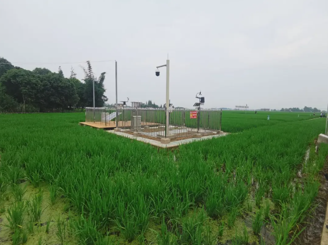 耕地質(zhì)量綜合監(jiān)測點，邛崍現(xiàn)代農(nóng)業(yè)的新探索和實踐