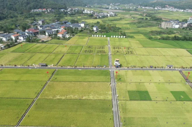 智慧種業(yè)案例 | 湘東：雜交水稻制種之鄉(xiāng)，數(shù)字技術(shù)成為制種新神器！