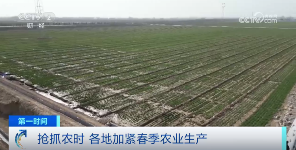 心系糧安、山田無阻、服務(wù)有恒|托普云農(nóng)2025年智能裝備巡檢服務(wù)全面啟動