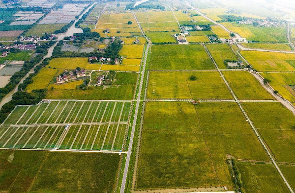 高標(biāo)案例丨托普云農(nóng)助力善璉鎮(zhèn)農(nóng)田“數(shù)智”升級