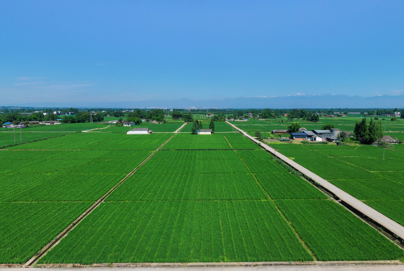 綠色農(nóng)田建設(shè)項(xiàng)目實(shí)施方案