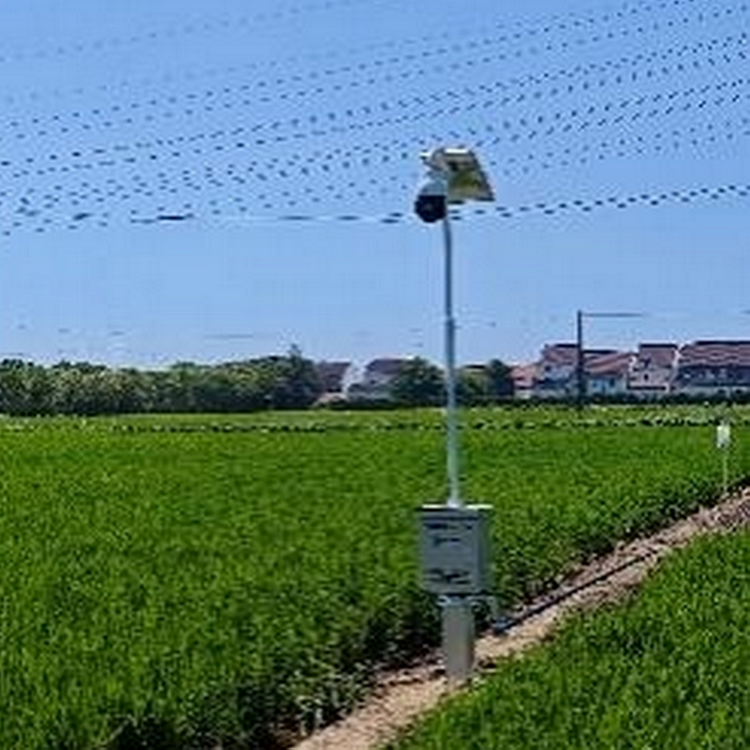 自動(dòng)趕蛾智能統(tǒng)計(jì)桿