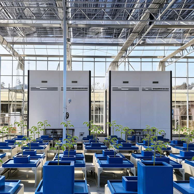 溫室型高通量植物表型采集分析平臺